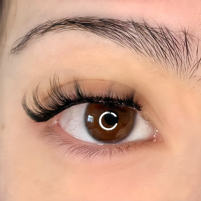 Sakura | Magnetic Lash