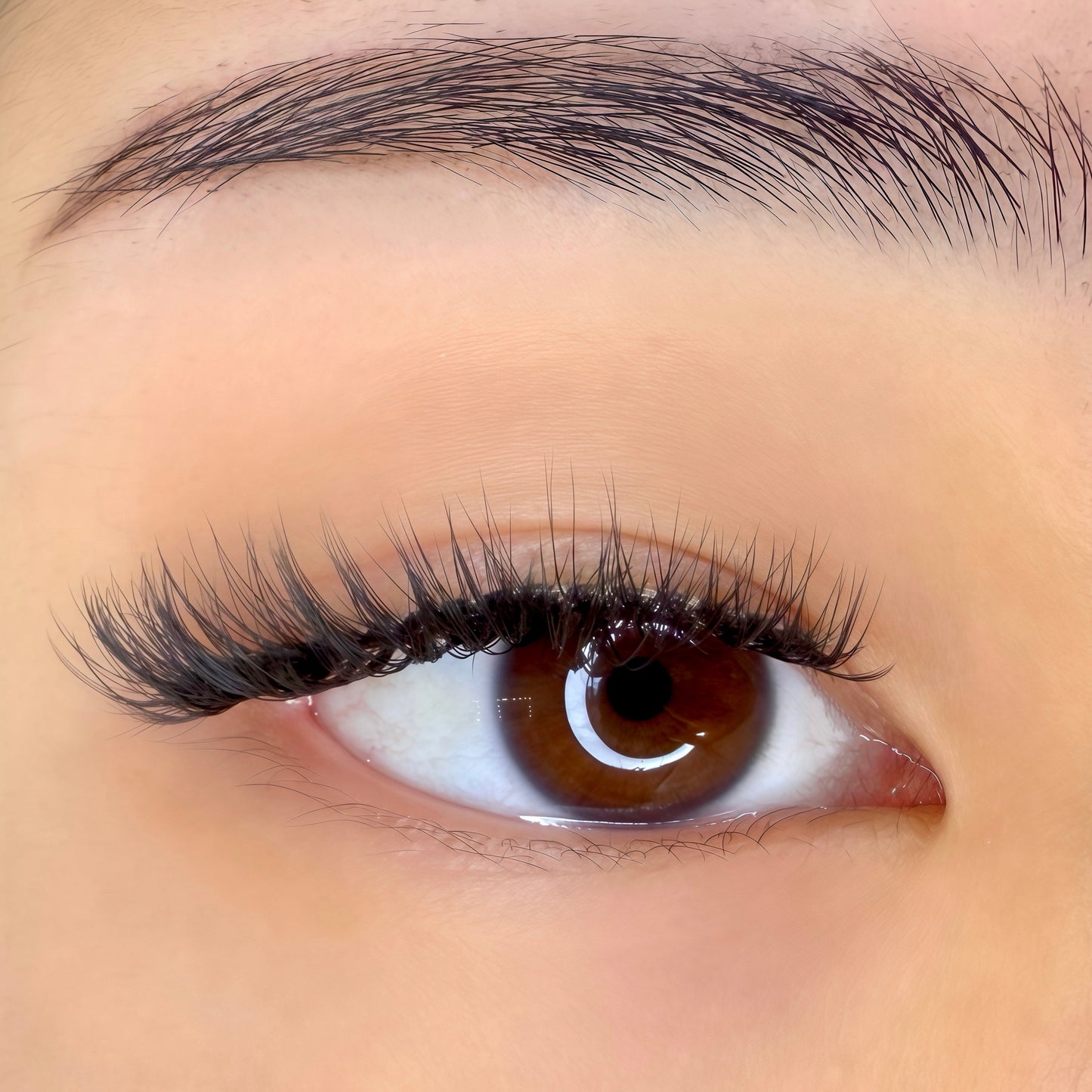 Belle | Magnetic Lash