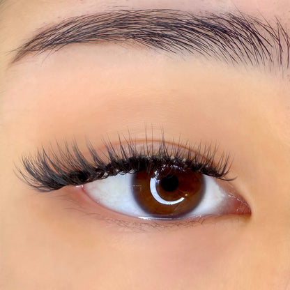 Belle | Magnetic Lash