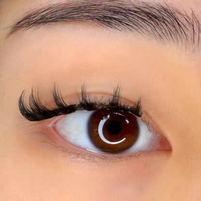 Sakura | Magnetic Lash
