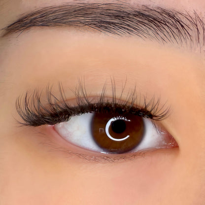 Jade | Magnetic Lash