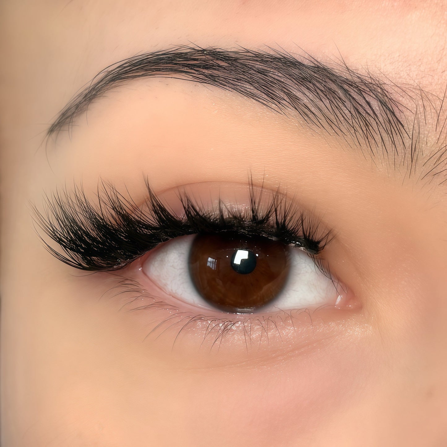 Aurora | Magnetic Lash