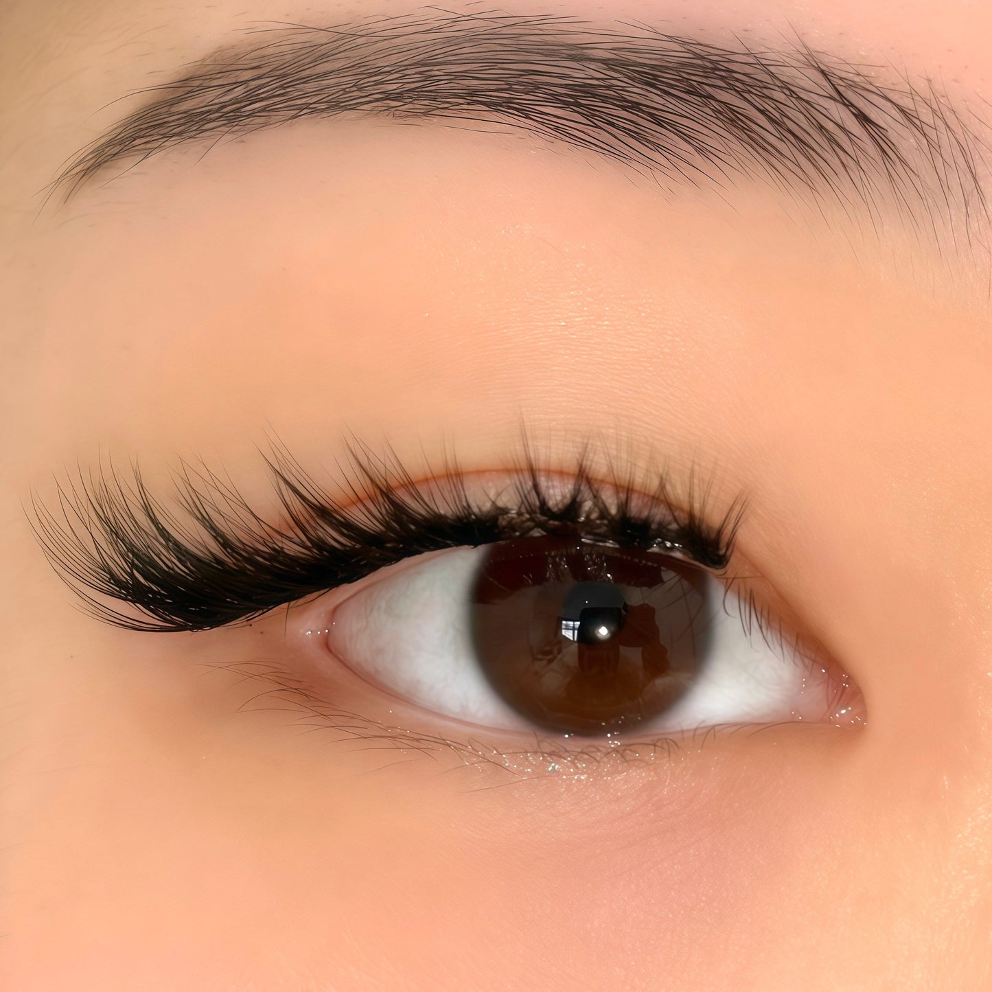 Aurora | Magnetic Lash