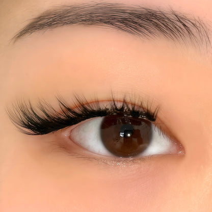 Aurora | Magnetic Lash