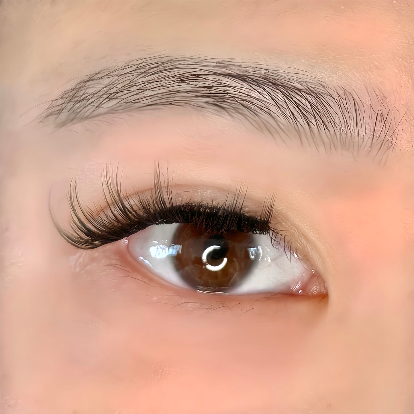 Daisy | Magnetic Lash